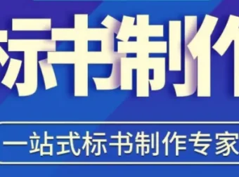 零基础学做标书：新手标书制作必修课（95节全流程实战）