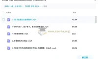 李茜《应对青春期的挑战》视频课：家长必学的亲子沟通指南