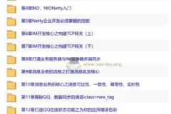 Netty+SpringBoot即时通讯系统开发实战 15章完整版