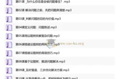 12节高效解决问题实战课：从拆解难题到落地执行