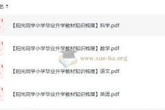阳光同学小学毕业升学小升初教材知识梳理（语文数学英语科学四科合辑）