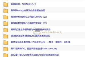 Netty+SpringBoot即时通讯系统开发实战 15章完整版