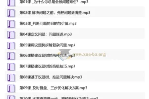 12节高效解决问题实战课：从拆解难题到落地执行
