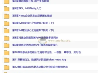 Netty+SpringBoot即时通讯系统开发实战 15章完整版