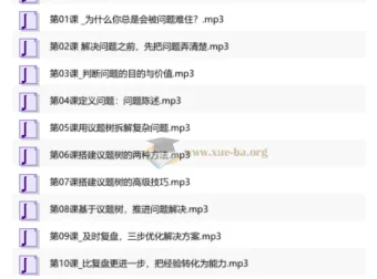12节高效解决问题实战课：从拆解难题到落地执行