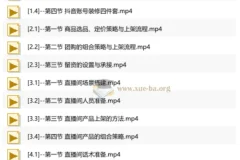 抖音AI直播精英流量特训营：从账号搭建到千川投放，全域流量变现实战全课