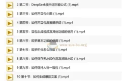 零基础玩转AI短视频实战课 人人可学的流量副业增收指南