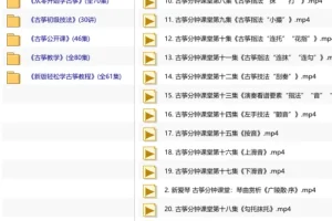 古筝轻松学精品教程套装·零基础到进阶完整视频课