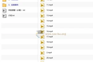 AI托管挂播项目实操教程，全程托管稳定收益