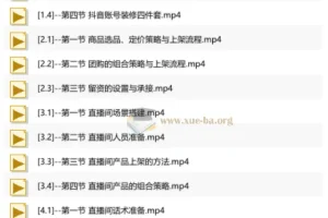 抖音AI直播精英流量特训营：从账号搭建到千川投放，全域流量变现实战全课