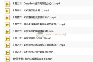 零基础玩转AI短视频实战课 人人可学的流量副业增收指南