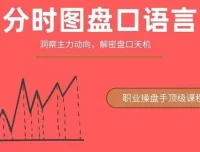 一飞金融分时图盘口语言：绝密主力操盘课程