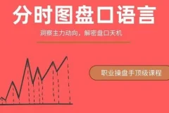 一飞金融分时图盘口语言：绝密主力操盘课程