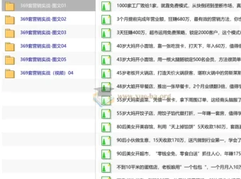 391套真实商业模式案例解析：从年入几十万到几百万的实战策略（电子书+视频+图文）