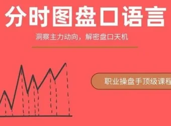 一飞金融分时图盘口语言：绝密主力操盘课程