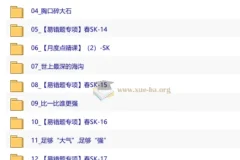 【2026初二春下】自然科学自主学习·SK-付雷