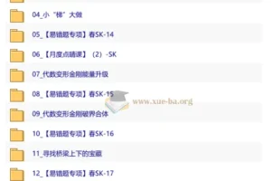 【2026初二春下】数理思维自主学习·SK-王丁玉