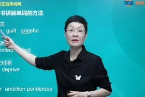 刘晓艳英语全阶段系统课程合集（初中/高中/专升本/考研）