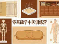 零基础入门中医训练营：唐略老师带你3个月构建中医思维体系