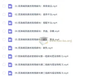 2027高三语文乘风一轮复习课程