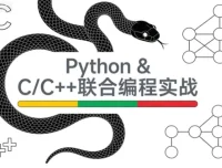 Python与C/C++联合编程实战：从基础调用到定制扩展，突破性能瓶颈