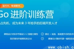 Go进阶训练营：对标大厂实战项目，带源码课件完整版