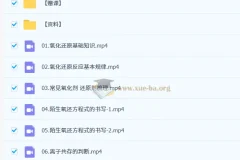 2027高三高考化学 李政 暑假班 氧化还原与离子反应精讲