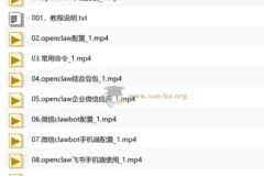 OpenClaw龙虾应用实战教程：从安装到多平台自动化操作全解析