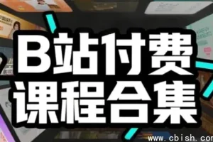 B站付费课程合集：1000+门精品课覆盖全领域技能