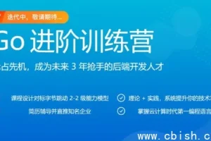 Go进阶训练营：对标大厂实战项目，带源码课件完整版