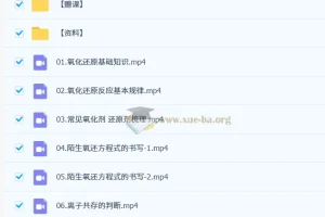 2027高三高考化学 李政 暑假班 氧化还原与离子反应精讲