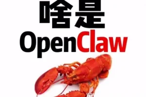 OpenClaw完整安装教程：零基础视频指南，小白也能轻松上手