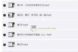 豆神大语文·小升初荣耀班 全套课程资料