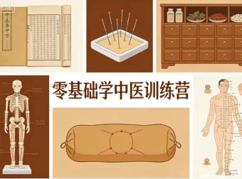 零基础入门中医训练营：唐略老师带你3个月构建中医思维体系