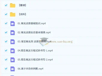 2027高三高考化学 李政 暑假班 氧化还原与离子反应精讲