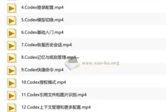 AI Codex 企业级应用实战教程
