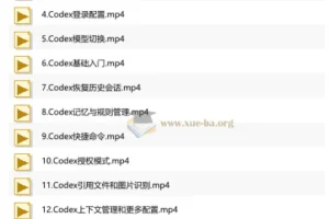 AI Codex 企业级应用实战教程