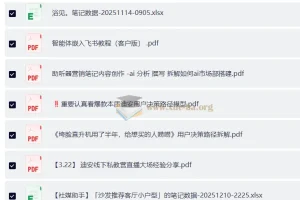 小红书企业实战私教营：AI+小红书运营教程，拥抱AI不被淘汰
