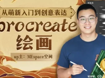 Procreate绘画创作课视频合集：从入门到创意表达系统教学