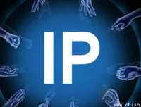 从0到1打造专业IP：系统化实操指南，含全套视频教程