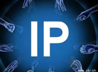 从0到1打造专业IP：系统化实操指南，含全套视频教程