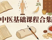 中医基础课程全集：零基础也能系统掌握中医理论体系