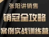 张阳讲销售实战案例训练营：销冠养成全攻略