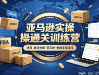 老陈聊跨境亚马逊实操通关训练营：2025-2026年度升级版，从选品到爆单的全链路实战指南