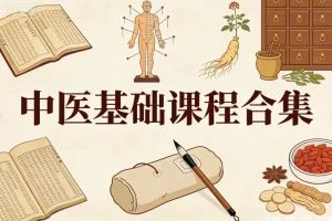 中医基础课程全集：零基础也能系统掌握中医理论体系