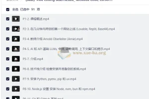 Vibe Coding实战开发指南：用Claude Code、Cursor与Codex极速构建全栈应用