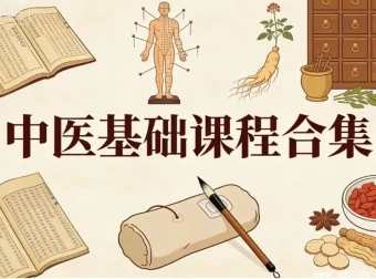 中医基础课程全集：零基础也能系统掌握中医理论体系