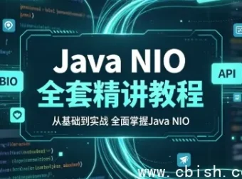 Java NIO全套精讲教程（BIO/NIO/AIO原理对比与NIO API源码深度解析）