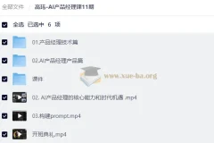 高玮AI产品经理课11期：从技术到产品的系统实战指南