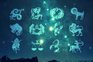 星座性格解析视频实操课，伙伴计划与分成收益实战教程